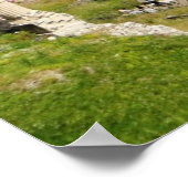 Poster du Forum Romain (Coin)