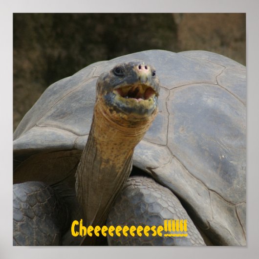 Poster Du fromage ! ! ! ! ! ! ! ! (Devant)