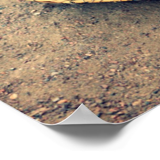 Poster du gant de softball (Coin)