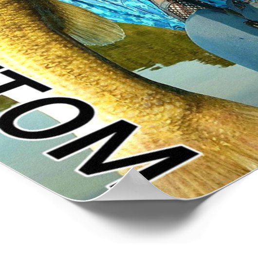 Poster du garçon Bama Baits en bas Froggy (Coin)