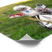 Poster du gardien de but du rallye (Coin)