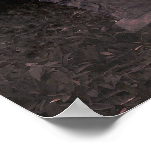 Poster du gardien du temps (Coin)