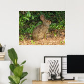 Poster du gel de coton (Bureau à domicile)