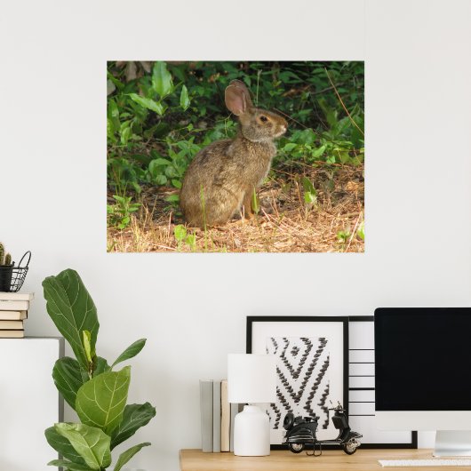 Poster du gel de coton (Bureau à domicile)