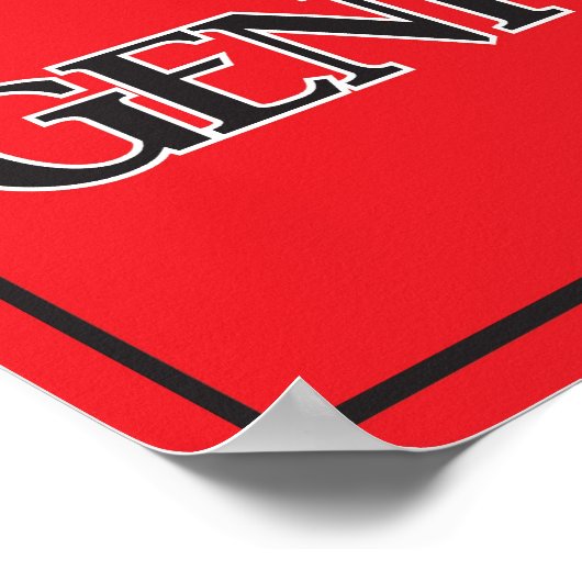 Poster du génie 11x16 (Coin)