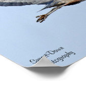 Poster du Grand Héron bleu (Coin)