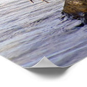 Poster du Grand Héron bleu (Coin)