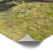 Poster du Grand Kudu (Coin)