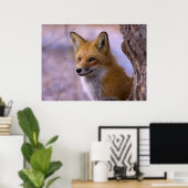 Poster du Grand Renard (Bureau à domicile)