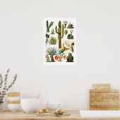 Poster du graphique Cactus vintage (Cuisine)