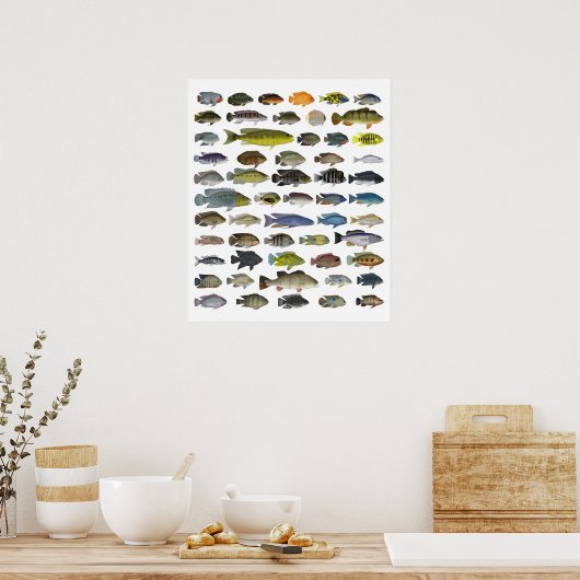 Poster du groupe Cichlid (Cuisine)