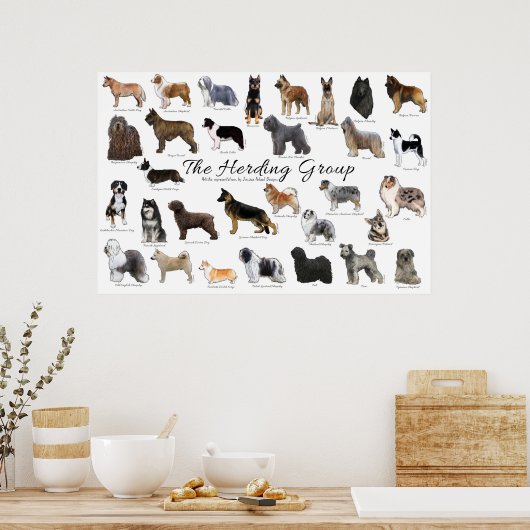 Poster du groupe d'élevage (Cuisine)