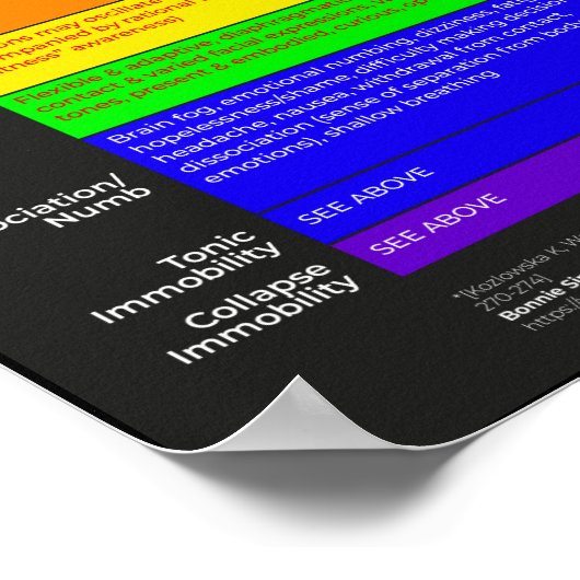 Poster du guide d'activation du spectre du système (Coin)