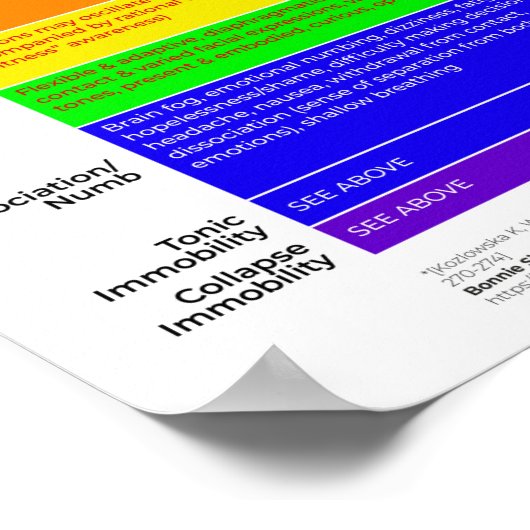 Poster du guide d'activation du spectre du système (Coin)