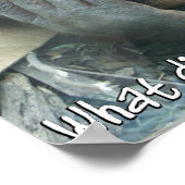 Poster du hangar d'Orangoutan (Coin)