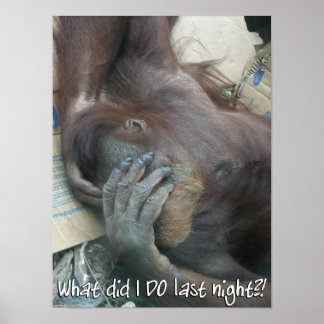 Poster du hangar d'Orangoutan