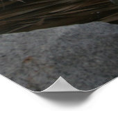 Poster du Héron bleu (Coin)