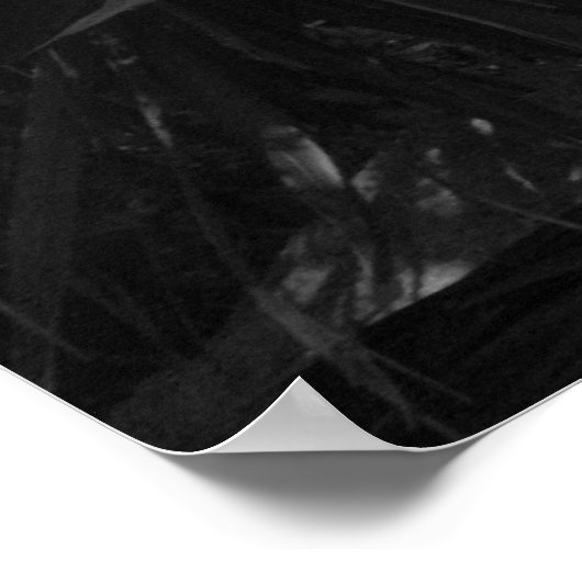 Poster du Héron bleu (Coin)