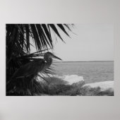 Poster du Héron bleu (Devant)