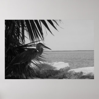 Poster du Héron bleu