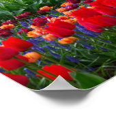 Poster du jardin (Coin)