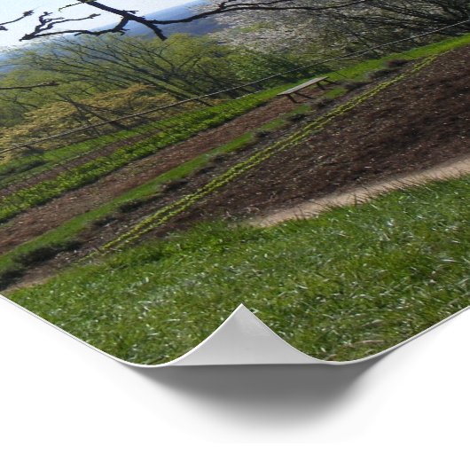 Poster du jardin (Coin)