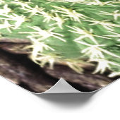 Poster du jardin de Cactus (Coin)