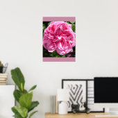 Poster du jardin de chou rose (Bureau à domicile)