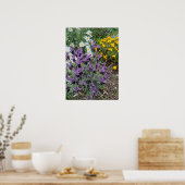 Poster du Jardin de Fleur violette Lavender Daisy (Cuisine)