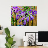 Poster du jardin de fleurs violettes Hosta (Bureau à domicile)