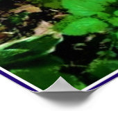 Poster du jardin de la Herbe de Balme de citron (Coin)