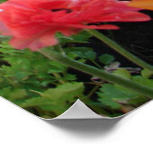 Poster du jardin de printemps Rannunculus Floral F (Coin)