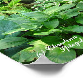 Poster du jardin du Bouddha de méditation (Coin)