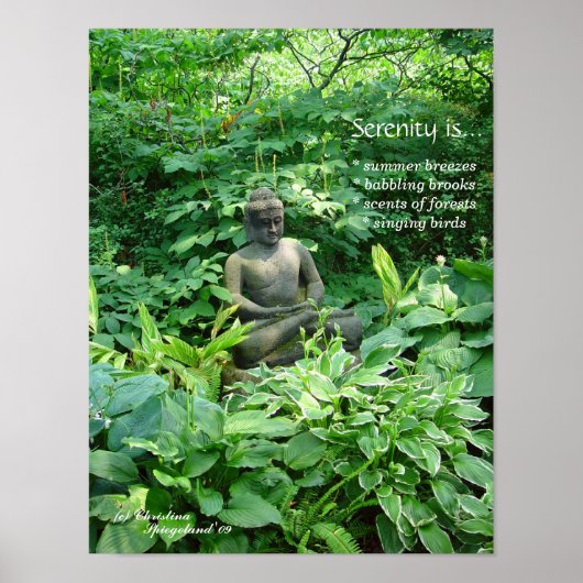 Poster du jardin du Bouddha de méditation (Devant)