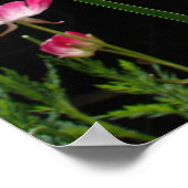 Poster du Jardin Fleuri Iris (Coin)