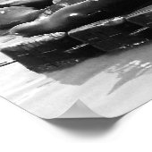 Poster du Jetée 39 Sea Lions (Coin)