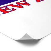 Poster du joueur de cricket néo-zélandais (Coin)