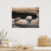 Poster du Komodo (Cuisine)