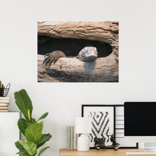 Poster du Komodo (Bureau à domicile)