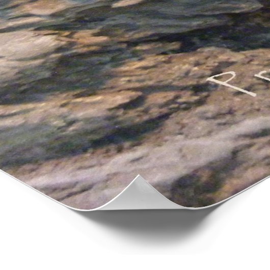 Poster du Komodo (Coin)