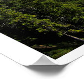 Poster du lac Kananaskis supérieur (Coin)