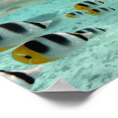 Poster du lagon de Bora Bora (Coin)