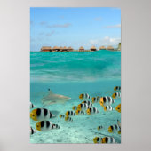 Poster du lagon de Bora Bora (Devant)