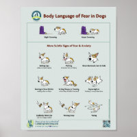 Poster du langage corporel de la peur chez les chi