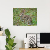 Poster du lapin sauvage Eastern Cottontail II (Bureau à domicile)