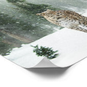 Poster du léopard des neiges (Coin)