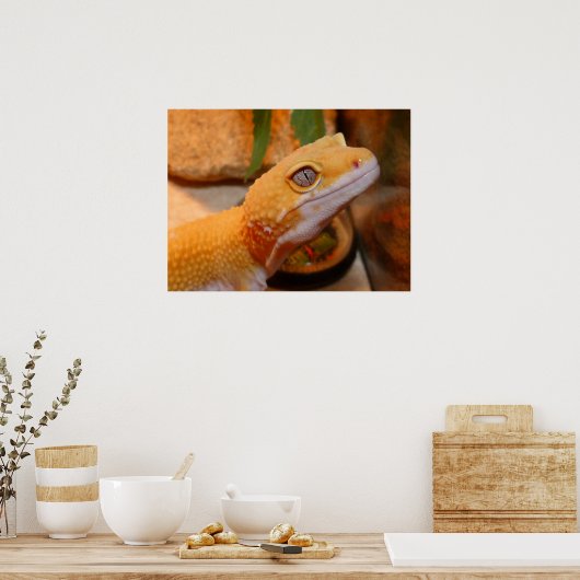 Poster du léopard jaune Gecko Lizard (Cuisine)