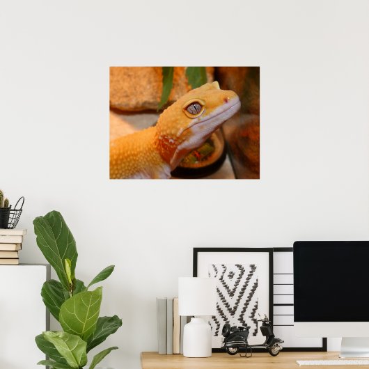 Poster du léopard jaune Gecko Lizard (Bureau à domicile)