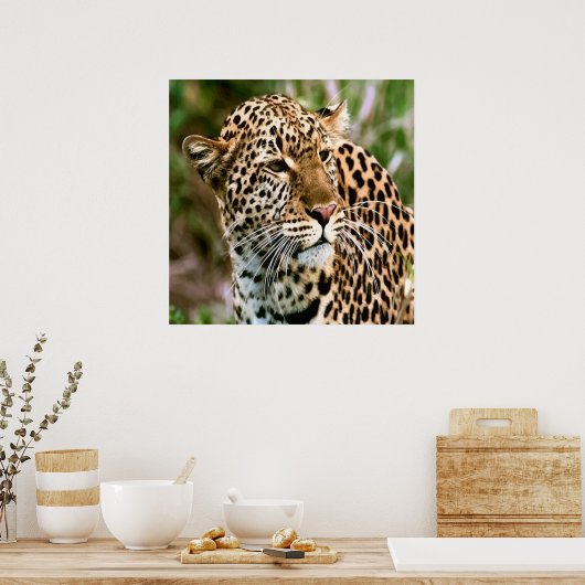 Poster du léopard tacheté (Cuisine)