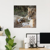 Poster du lion (Bureau à domicile)
